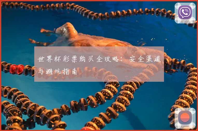 世界杯彩票购买全攻略：安全渠道与避坑指南