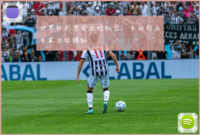 世界杯彩票背后的秘密：专访行业专家为你揭秘