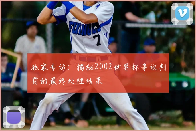 独家专访：揭秘2002世界杯争议判罚的最终处理结果