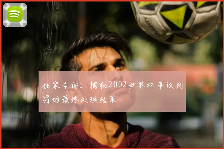 独家专访：揭秘2002世界杯争议判罚的最终处理结果