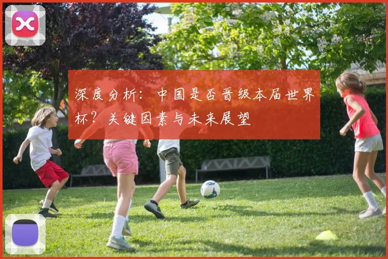 深度分析：中国是否晋级本届世界杯？关键因素与未来展望